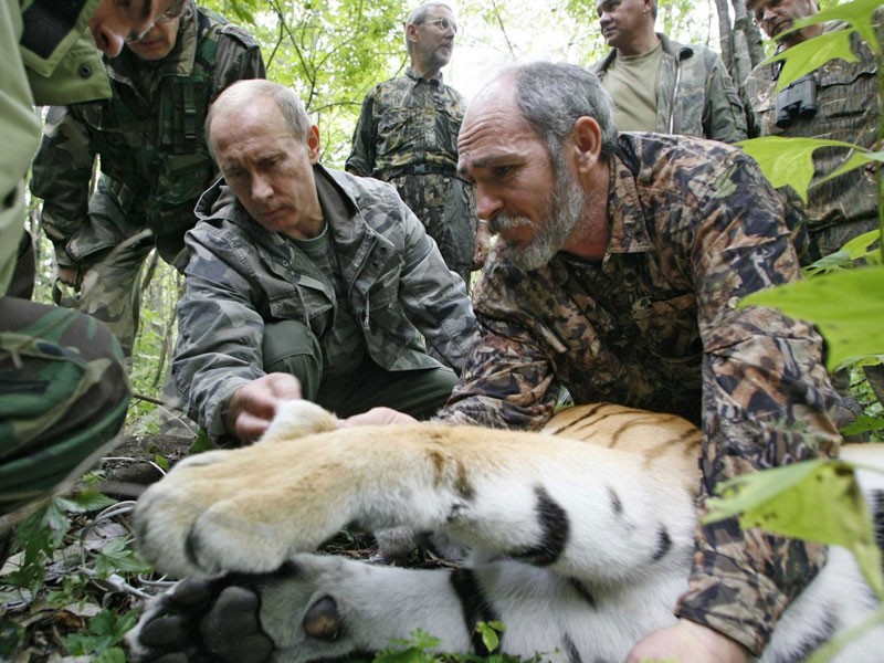 Tong thong Putin da tai qua anh-Hinh-11